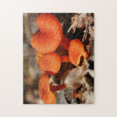 オレンジマッシュルームファミリー自然   ジグソーパズル (縦)