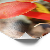 オレンジマッシュルームペア自然 フォトプリント            (角)