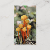 オレンジマッシュルーム自然撮影名刺 名刺 (裏面)