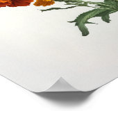 オレンジマリゴールド花アートプリントポスター ポスター (角)