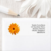 オレンジマリゴールド ラベル (インサイチュ)