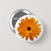オレンジマリーゴールド 缶バッジ (正面&裏面)