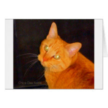 オレンジマーマレード