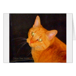 オレンジマーマレード