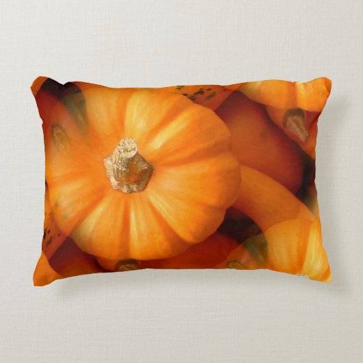 オレンジミニカボチャ&グルズ秋写真 アクセントクッション (正面)