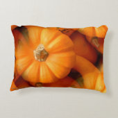 オレンジミニカボチャ&グルズ秋写真 アクセントクッション (裏面)