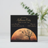 オレンジムーンブラックキャット 招待状 (スタンド正面)