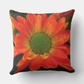 オレンジメンズアウトドアアクセント枕 アウトドアクッション (裏面)