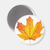 オレンジメープルの葉 マグネット (正面/裏面)