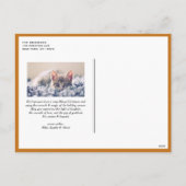 オレンジモダン色のスクリプト明るい日前写真 シーズンポストカード (裏面)