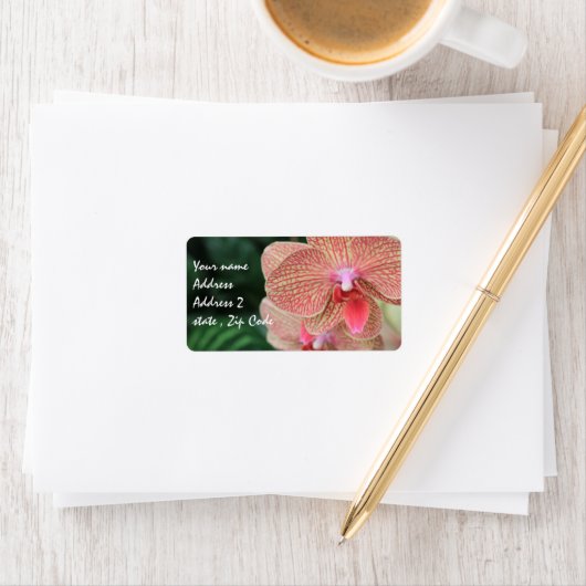 オレンジラン ラベル (インサイチュ)