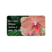 オレンジラン ラベル (正面)