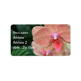 オレンジラン ラベル