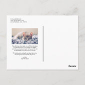 オレンジリネン |縦書きポストカード ポストカード (裏面)