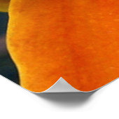 オレンジリリーのポスター ポスター (角)