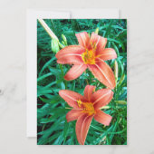 オレンジリリーカラフル祖母誕生日フローラ 招待状 (裏面)