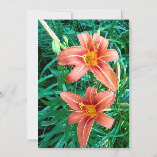 オレンジリリーカラフル祖母誕生日フローラ 招待状 (裏面)