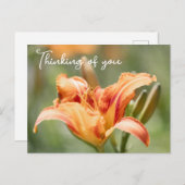 オレンジリリー考えズ・オブ・ユー ポストカード (正面/裏面)