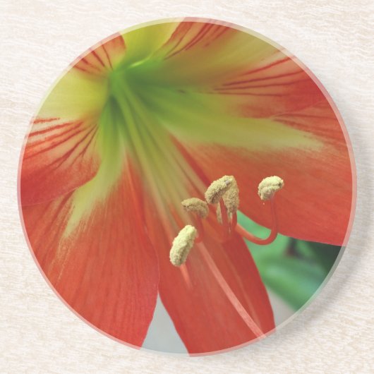 オレンジリリー コースター (正面)