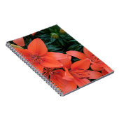 オレンジリリー ノートブック (右側)