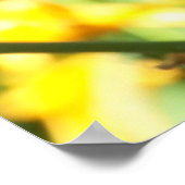 オレンジリリー ポスター (角)