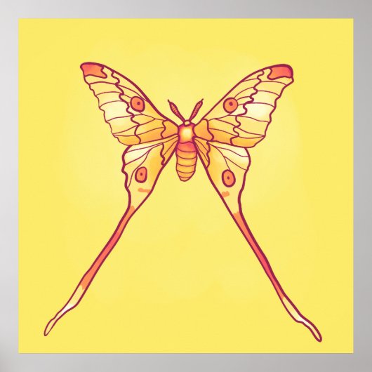 オレンジルナモスアート – カラフル昆虫 ポスター (正面)