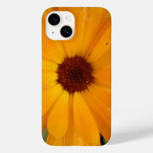 オレンジレインデイジーiPhone 5ケース Case-Mate iPhoneケース (裏面)
