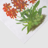 オレンジレッドエキゾチック蘭の花の切り離し 薄葉紙 (詳細)