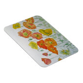 オレンジレッドポピー水彩誕生日磁石 マグネット (右側)