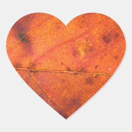 オレンジレッド秋の葉写真シール ハートシール