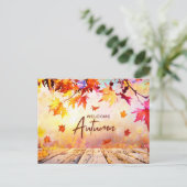 オレンジレッド自然秋の季節 シーズンポストカード (スタンド正面)