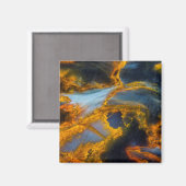 オレンジレーシングピエテルサイト マグネット (正面/裏面)