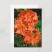 オレンジロードデンドロン ノートカード (正面/裏面)