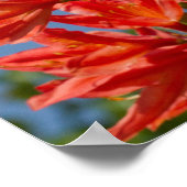 「オレンジロードデンドロン」 ポスター (角)