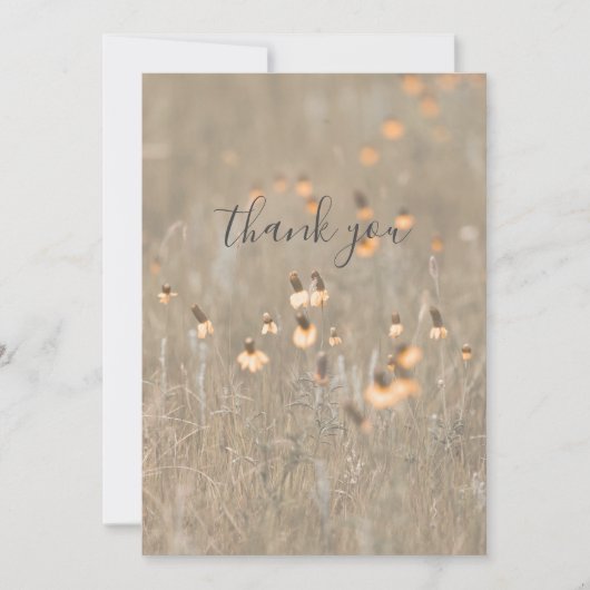 オレンジワイルドフラワーインメドウフラットサンキューカード サンキューカード (正面)