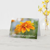 オレンジワイルドフラワー カード (黄色い花)