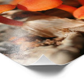 オレンジワイルドマッシュルーム10x8自然 フォトプリント            (角)