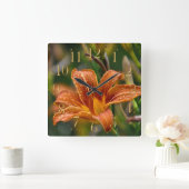 オレンジワスレグサ及び雨滴の花の写真 スクエア壁時計 (ホーム)