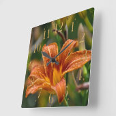 オレンジワスレグサ及び雨滴の花の写真 スクエア壁時計 (傾斜)