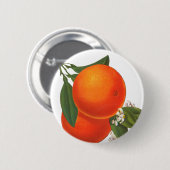 オレンジヴィンテージクラートアート 缶バッジ (正面&裏面)