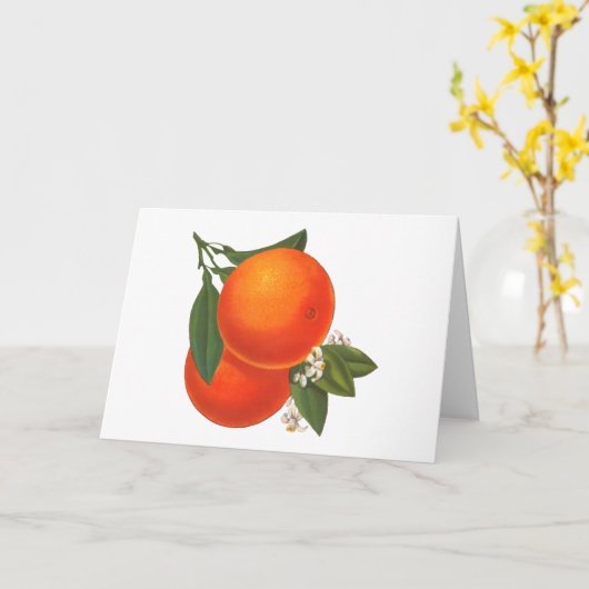 オレンジヴィンテージ空白のクレート カード (黄色い花)