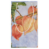 オレンジ中国の色のランタン花 スモールペーパーバッグ (裏面)