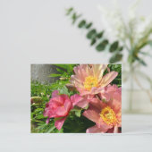 オレンジ中国の色の牡丹 ポストカード (スタンド正面)