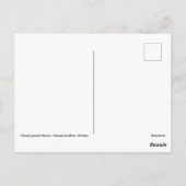 オレンジ中国の色の牡丹 ポストカード (裏面)