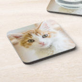 オレンジ及び白い子ネコ コースター (左側)