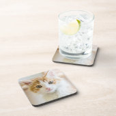 オレンジ及び白い子ネコ コースター (右側)