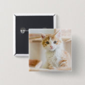 オレンジ及び白い子ネコ 缶バッジ (正面&裏面)