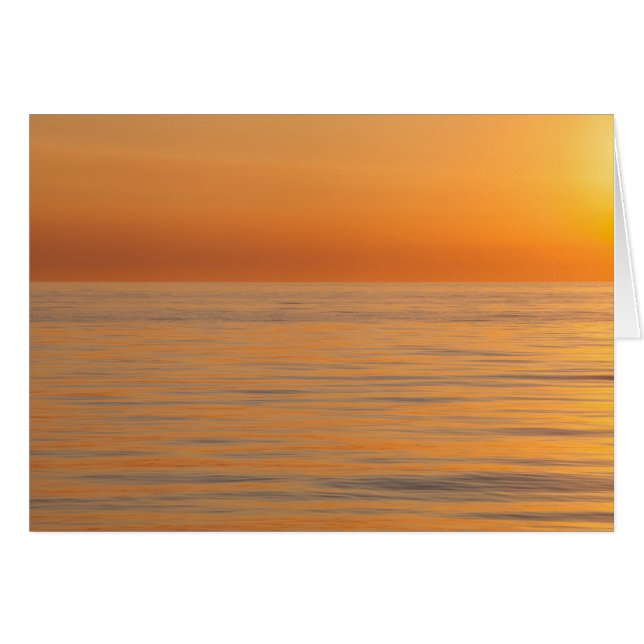 オレンジ夢のビーチ (正面横)