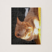 オレンジ子ネコのパズル ジグソーパズル (縦)