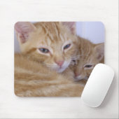オレンジ子ネコ マウスパッド (マウス)